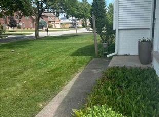 Corey H.'s Lawn Service service result