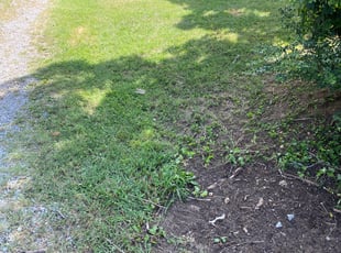 Cleanups by Christopher and Karen Shive for Erin K. in Nashville, TN