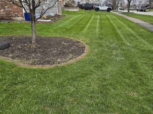 John F.'s Grass Cutting service result