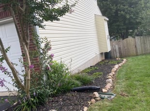 Cleanups by Ines Pereira for Michael M. in Manassas, VA