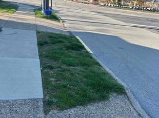 Leaf Removal by Delano Jackson for Jacquelyn M. in Sharon Hill, PA