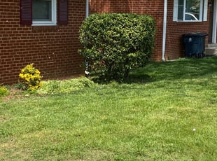 Bush Trimming by Delvon Jones for Mel J. in Oxon Hill, MD