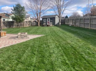 Leaf Removal by Joe Strese for Branden H. in Omaha, NE