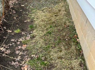 Leaf Removal by Jason Scott for Denise T. in Rockville, MD