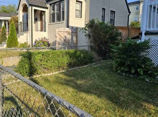 Bush Trimming by Olson Parker for Sherry C. in Washington, DC