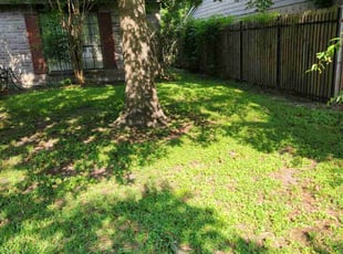 Cleanups by Raymond Aragon for Kristi H. in Humble, TX