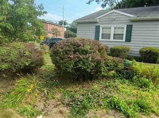 Weeding by Hassan Leach for Adiba S. in East Brunswick, NJ