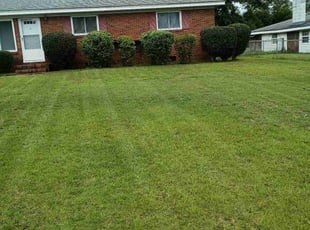 Tereek R.'s Bush Trimming service result