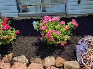 Mulching by Nemesio Hernandez for Melanie W. in Leesburg, VA