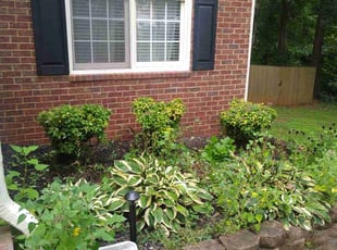 Bush Trimming by Danny Little for Courtney C. in Acworth, GA