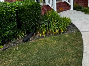Bush Trimming by Shuntwon Barnett for Ruth D. in Loganville, GA