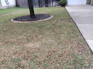 Leaf Removal by Jeronimo Barrientos for Jason H. in Kyle, TX