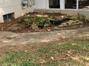 Leaf Removal by Dashawn Willis for Martin D. in Columbus, OH