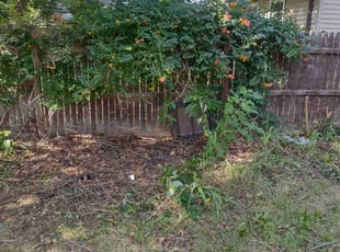 Cleanups by Jeffrey Otto for Cody S. in Wichita, KS