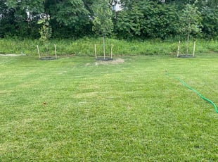 Ed G.'s Lawn Service service result