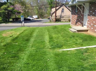 DaRonn C.'s Lawn Service service result