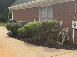 Bush Trimming by Valtoria Sears for Terri G. in Conyers, GA