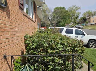 Bush Trimming by Artavius Clark for Jeron A. in Clinton, MD