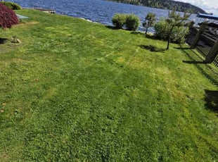 Cleanups by Rikis Oliva for Rachel W. in Lake Forest Park, WA