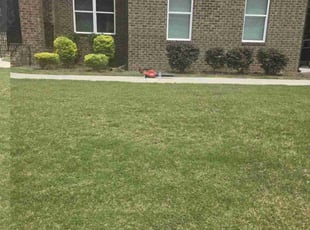 Raquel F.'s Bush Trimming service result
