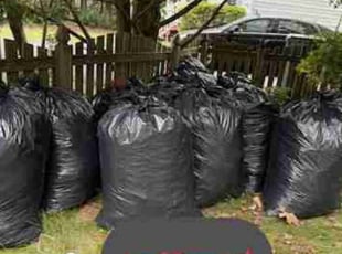 Robert V.'s Leaf Removal service result