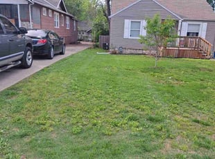 Cleanups by Danny Wells for Eric F. in Kansas City, MO