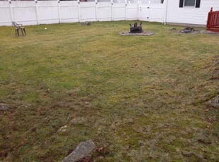 Leaf Removal by Jared Duguay for Regina A. in North Providence, RI