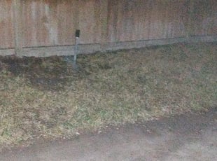Leaf Removal by Mauro Leal Jr for Shayne S. in San Antonio, TX