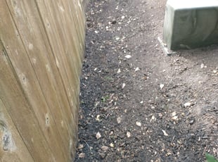 Weeding by Joseph Meshell for Randi A. in Spring, TX