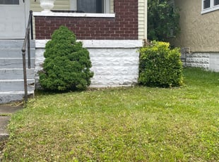 Bush Trimming by Dee Garrett for Amber B. in Louisville, KY