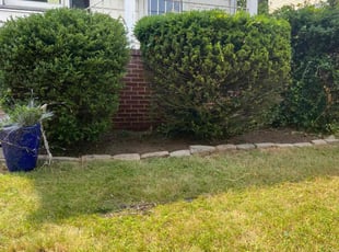 Marisa H.'s Bush Trimming service result