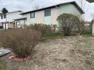 Bush Trimming by Justin Fiedler for Carmen W. in Colorado Springs, CO