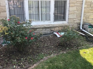 Weeding by Don Stewart for Elizabeth Z. in Milwaukee, WI