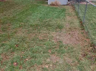 Leaf Removal by William Beacham for Wendy H. in Park City, KS