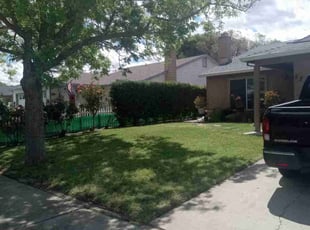 Bush Trimming by Jose Villanueva for Abdolmar D. in Patterson, CA