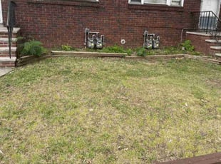 Bush Trimming by Ali Mells for Marilyn B. in Elizabeth, NJ
