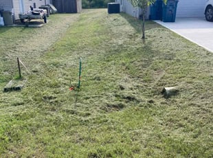Cleanups by Woodro Hamilton for Xu L. in Palm Bay, FL
