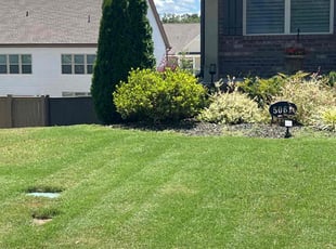 Jeff V.'s Lawn Mowing Service service result
