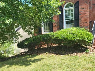 Bush Trimming by Nelson Lopez for Jeremy B. in Charlotte, NC
