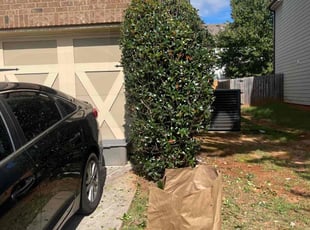 Bush Trimming by aliyana maddox for Shavon V. in Buford, GA