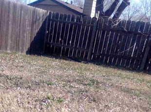 Leaf Removal by Timothy Trzepacz for Emily F. in Bel Aire, KS