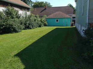 Richard R.'s Lawn Mowing service result