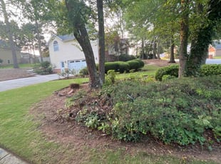 Bush Trimming by Matthew Veal for Shenelle S. in Lawrenceville, GA