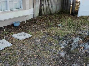 Leaf Removal by Chester Butler for Mike . in Lutz, FL