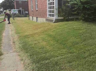 Cleanups by Caleb Patton for Erin W. in Cincinnati, OH