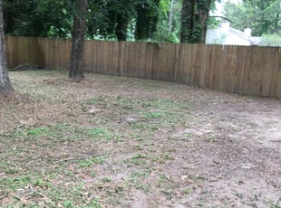 Leaf Removal by Jose Martinez for Angela J. in Tallahassee, FL