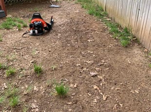 Leaf Removal by Tyler Isaacs for Robert H. in Springdale, MD
