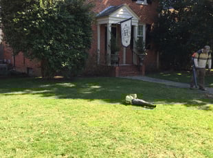 Cleanups by Walter DePriest for Rand H. in Richmond, VA