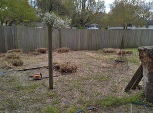 Bush Trimming by Julio Almestica for Al B. in Blue Springs, MO