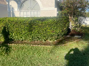 Bush Trimming by Charles Walton for Zan R. in Boynton Beach, FL